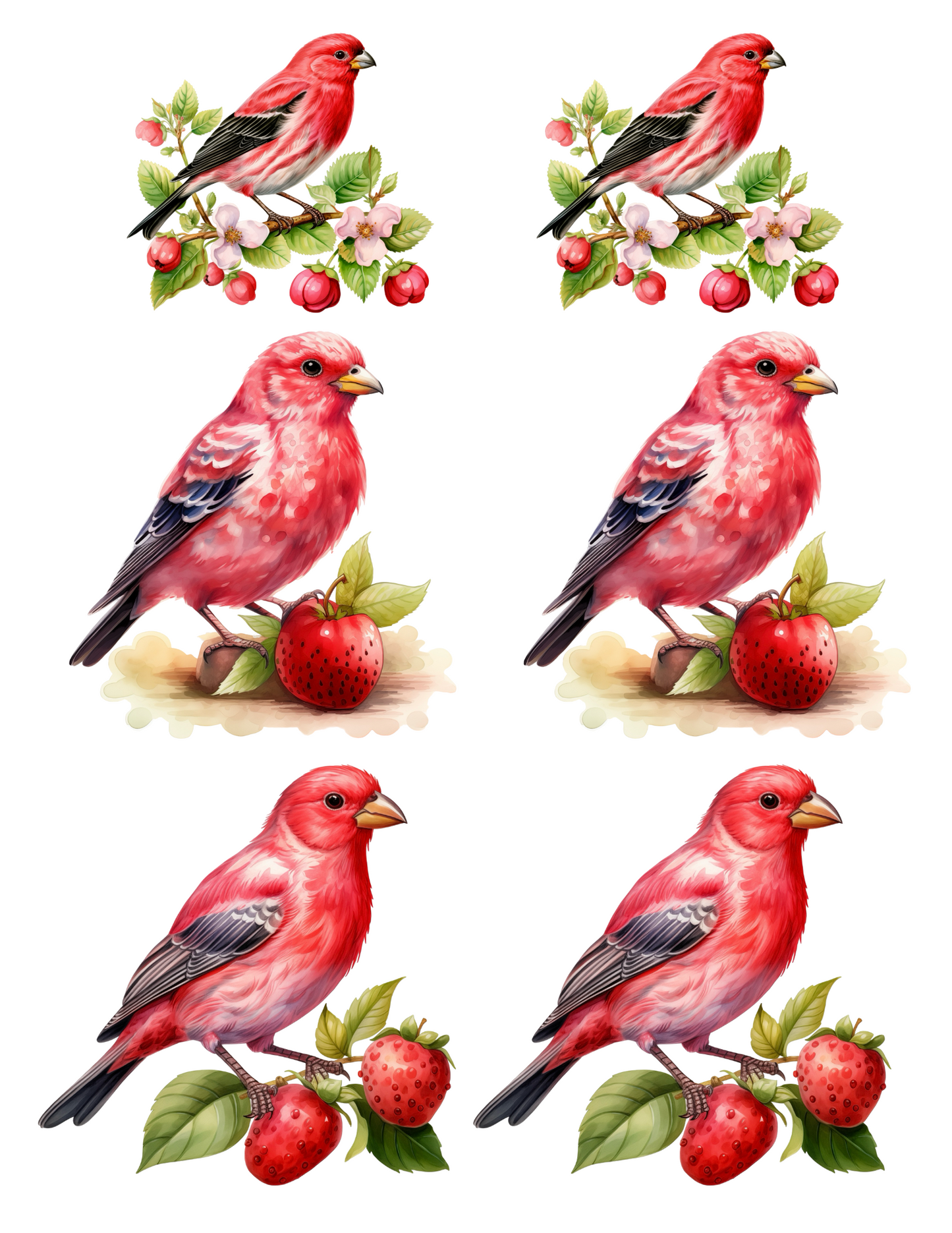 Rice Paper For Decoupage Red Bird 2 Collage Cat. No. 4579