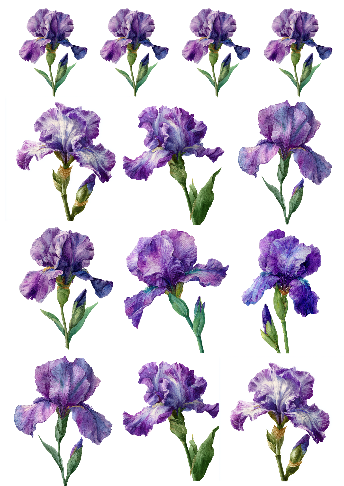 Rice Paper For Decoupage Purple Iris Collage Cat. No. 5027