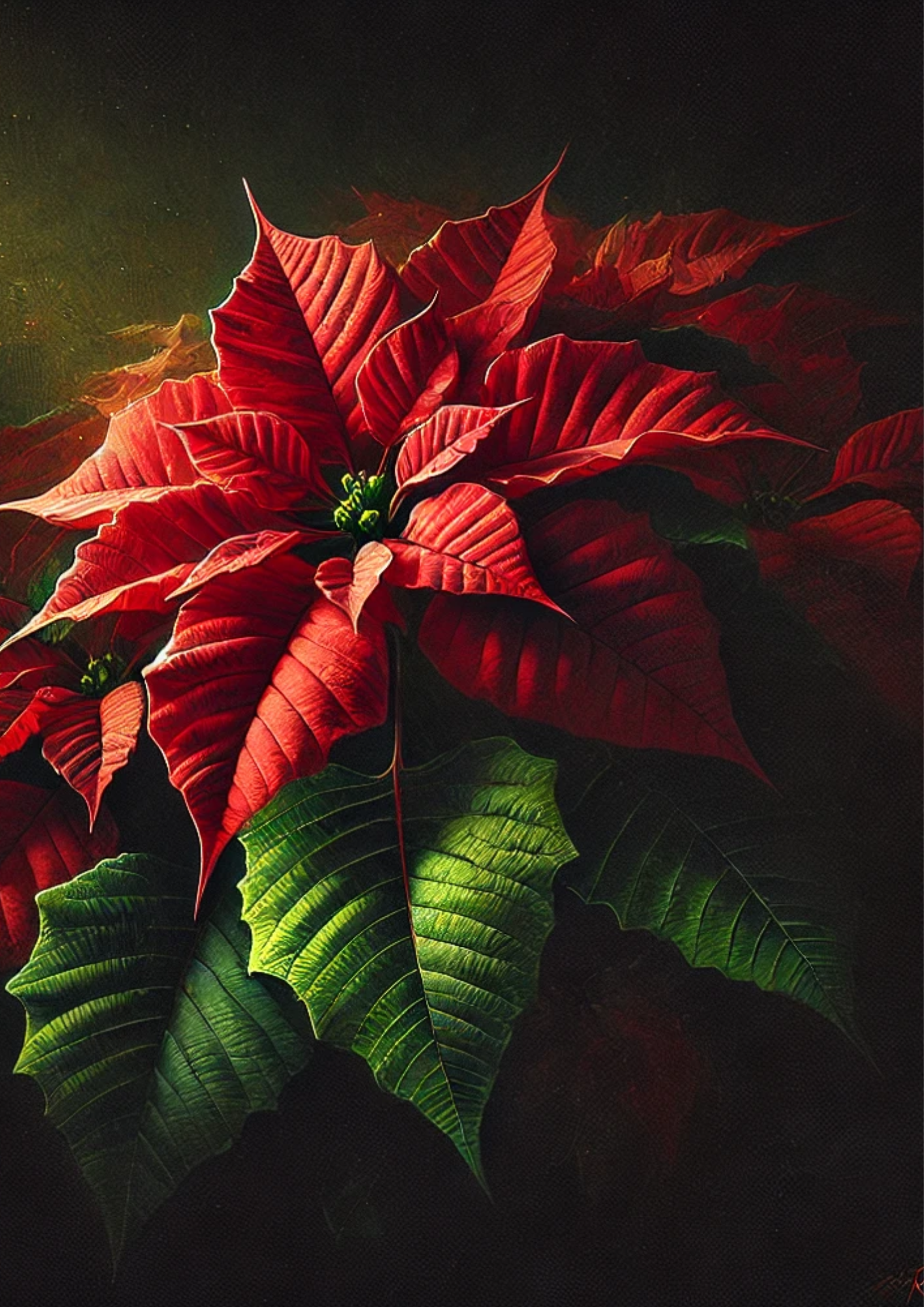 Rice Paper For Decoupage Poinsettia On Black Background Full Cat. No. 2269