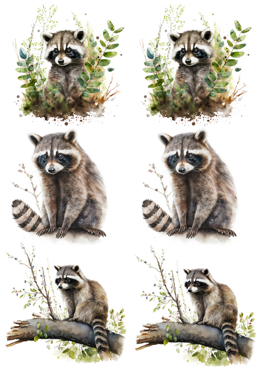 Rice Paper For Decoupage Raccoon Watercolor Collage Cat No. 4189