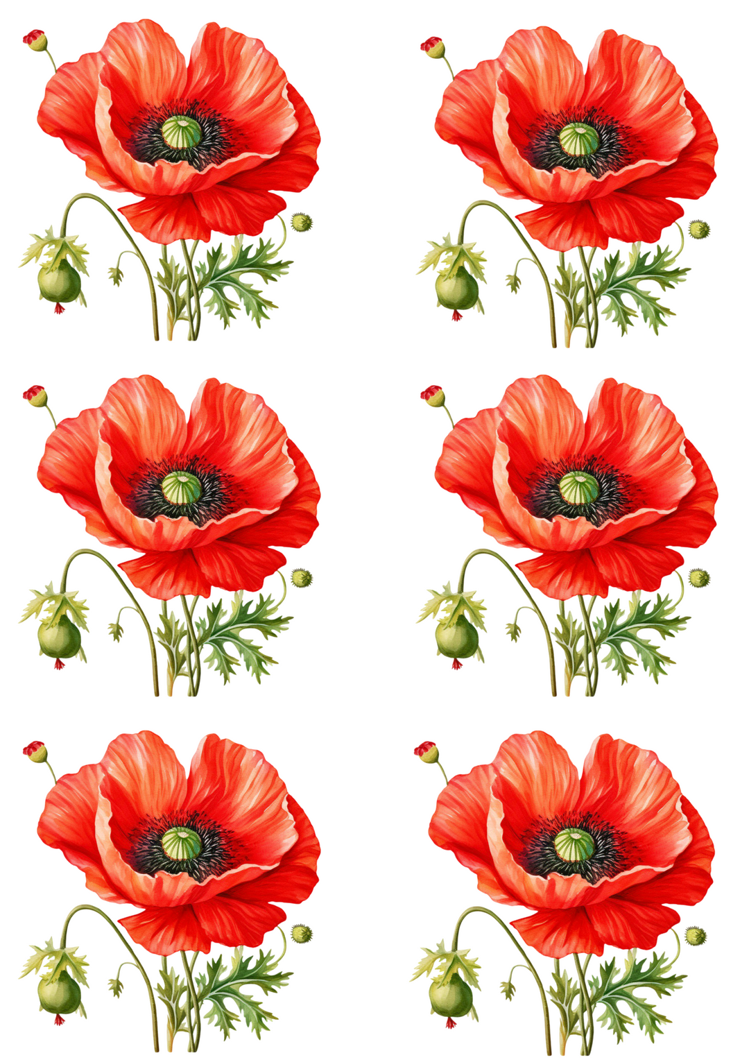 Rice Paper For Decoupage Red Poppies Collage Cat. No.4256