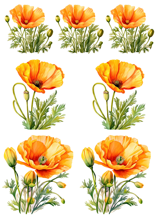 Rice Paper For Decoupage Yellow Poppies Collage Cat. No.4258