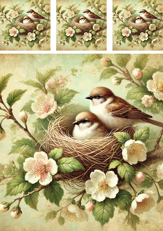 Rice Paper For Decoupage Sparrows In A Nest Among Flowers Schabby Chic Collage Cat. No. 4285