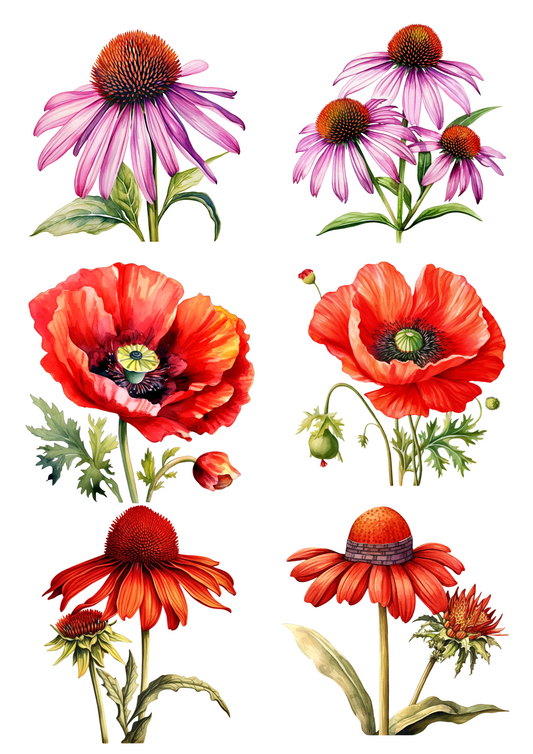 Rice Paper For Decoupage Red Poppies And Other Wildflowers Collage Cat. No. 4466