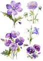 Rice Paper For Decoupage Purple Meadow Flowers Collage Cat. No. 4469