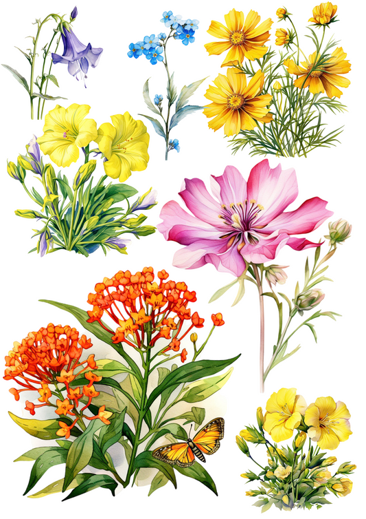 Rice Paper For Decoupage Various Meadow Flowers 2 Collage Cat. No. 4471