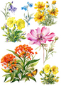 Rice Paper For Decoupage Various Meadow Flowers 2 Collage Cat. No. 4471