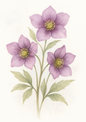 Rice Paper For Decoupage Purple Hellebores Full Cat. No. 4499