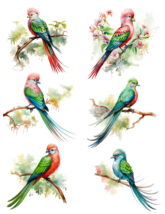 Rice Paper For Decoupage Birds of Paradise Exotic Collage Cat. No. 4519