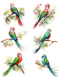 Rice Paper For Decoupage Birds of Paradise Exotic Collage Cat. No. 4519