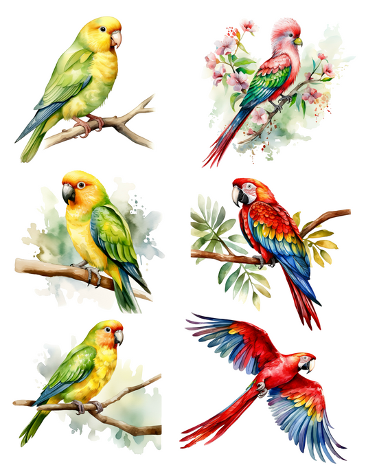 Rice Paper For Decoupage Exotic Parrots Collage Cat. No. 4520