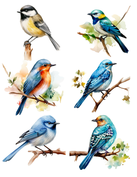 Rice Paper For Decoupage Birds Various Collage Cat. No. 4522