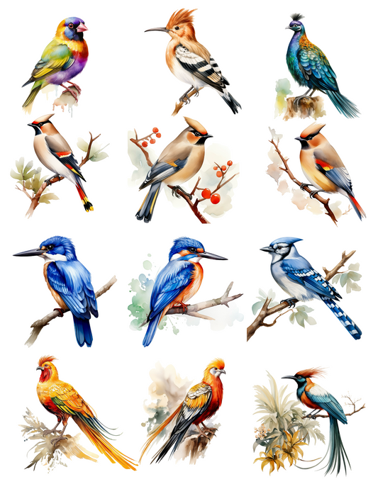 Rice Paper For Decoupage Birds Various Collage Cat. No. 4524