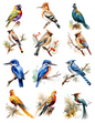 Rice Paper For Decoupage Birds Various Collage Cat. No. 4524