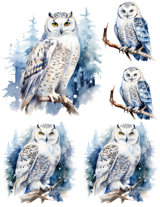 Rice Paper For Decoupage Owl Collage Cat. No. 4526