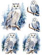 Rice Paper For Decoupage Owl Collage Cat. No. 4526