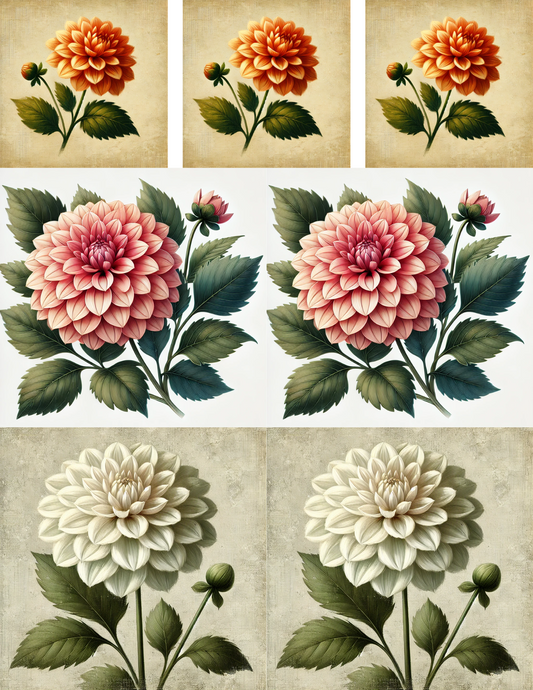 Rice Paper For Decoupage Colorful Dahlias Collage Cat. No. 4555