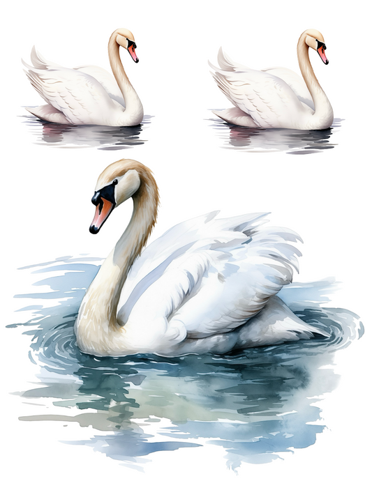 Rice Paper For Decoupage Swan Collage Cat. No. 4577