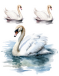 Rice Paper For Decoupage Swan Collage Cat. No. 4577