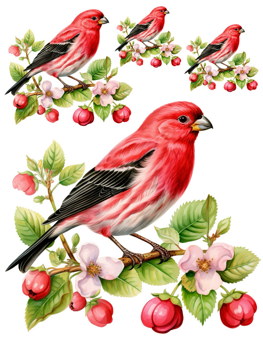 Rice Paper For Decoupage Red Bird Collage Cat. No. 4578
