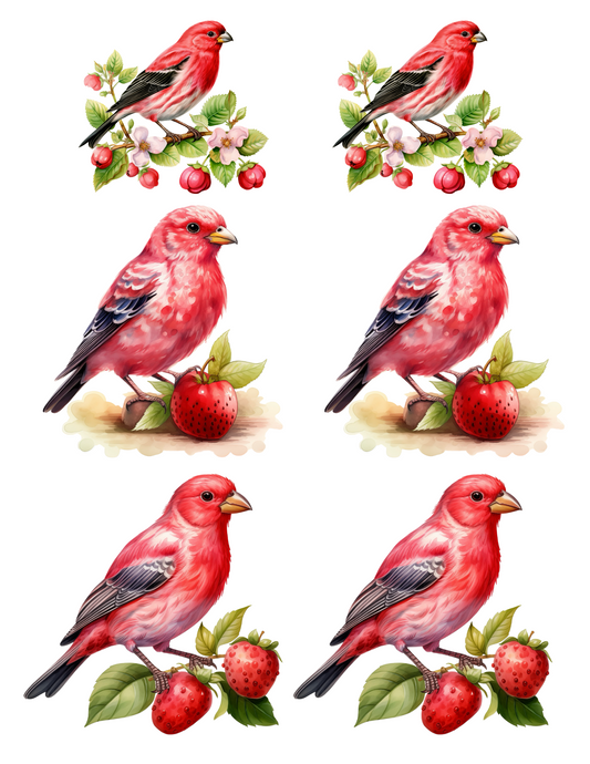 Rice Paper For Decoupage Red Bird 2 Collage Cat. No. 4579