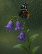 Rice Paper Decoupage Red Admiral Butterfly on Flower During Rain Full Cat. No. 4581