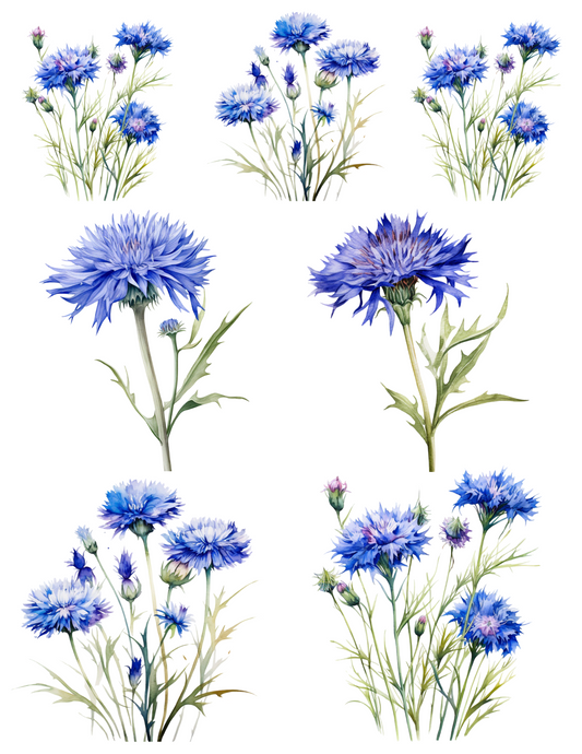 Rice Paper For Decoupage Cornflowers Collage Cat. No. 4583