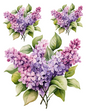 Rice Paper For Decoupage Lilac Branches Collage Cat. No. 4587