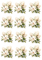 Rice Paper For Decoupage Magnolia Bouquets Collage Cat. No. 4669
