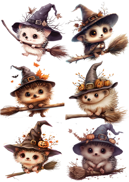 Rice Paper For Decoupage Hedgehog In A Magic Hat With A Pumpkin Collage Cat. No. 4673