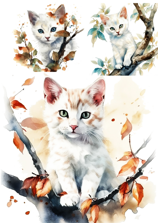 Rice Paper For Decoupage Little Kitten Collage Cat. No. 4679