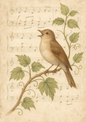 Rice Paper For Decoupage Singing Nightingale Full Cat. No. 4739