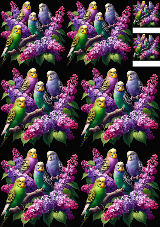 Rice Paper For Decoupage Budgerigars On Lilac Branches Collage Cat. No. 4760