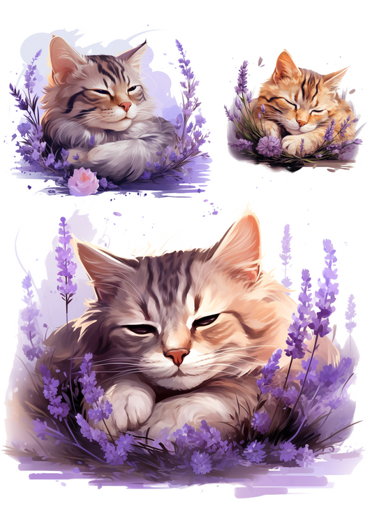 Rice Paper For Decoupage Sleeping Cat In Lavender Collage Cat. No. 4787