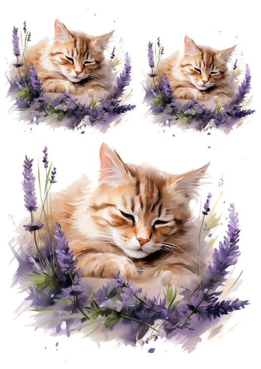 Rice Paper For Decoupage Sleeping Cat In Lavender Collage Cat. No. 4788