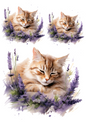 Rice Paper For Decoupage Sleeping Cat In Lavender Collage Cat. No. 4788