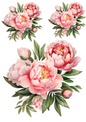 Rice Paper For Decoupage Pink Garden Summer Flowers Collage Cat. No. 4794