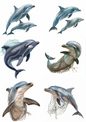 Rice Paper For Decoupage Dolphins Collage Cat. No. 4842