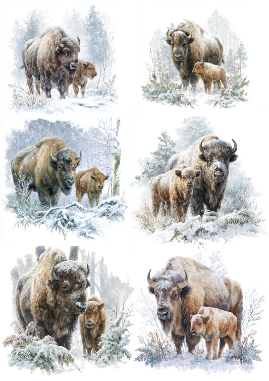 Rice Paper For Decoupage European Bison in Winter Collage Cat. No. 4880