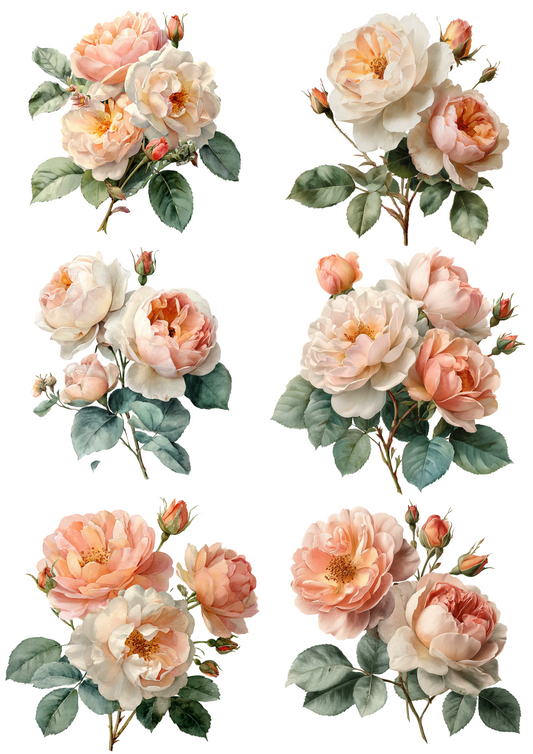 Rice Paper for Decoupage English Roses Collage Cat. No. 4887