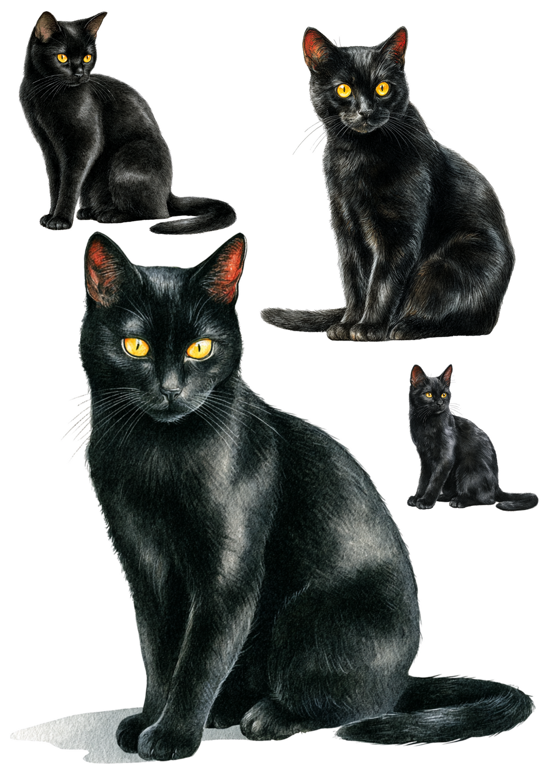 Rice Paper For Decoupage Black Cat Collage Cat. No. 4888
