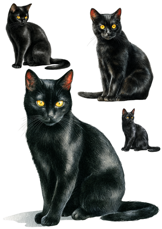 Rice Paper For Decoupage Black Cat Collage Cat. No. 4888