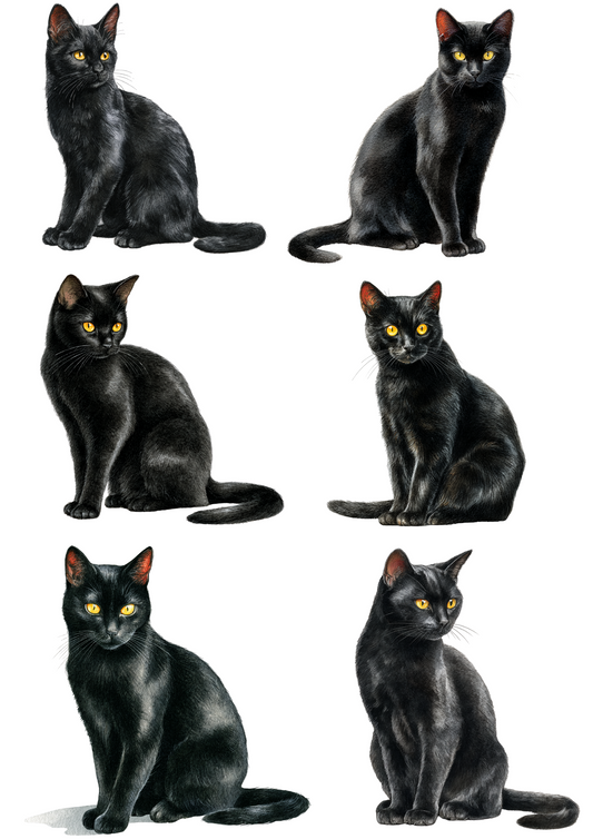 Rice Paper For Decoupage Black Cat Collage Cat. No. 4889