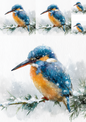 Rice Paper For Decoupage Kingfisher Collage Cat. No. 4899