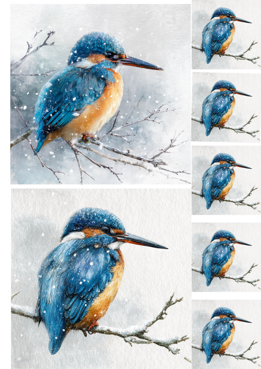 Rice Paper For Decoupage Kingfisher Collage Cat. No. 4900
