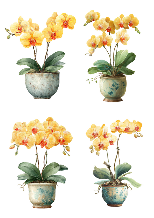 Rice Paper For Decoupage Yellow Orchid In Pot Collage Cat. No. 4909