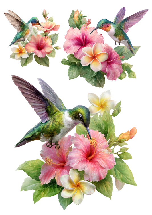 Rice Paper For Decoupage Hummingbird Over Hibiscus Collage Cat. No. 4918
