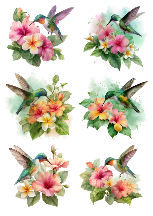 Rice Paper For Decoupage Hummingbird Over Hibiscus Collage Cat. No. 4919