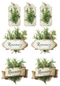 Rice Paper For Decoupage Rosemary Collage Cat. No. 4946