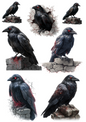 Rice Paper For Decoupage Raven Collage Cat. No. 4972